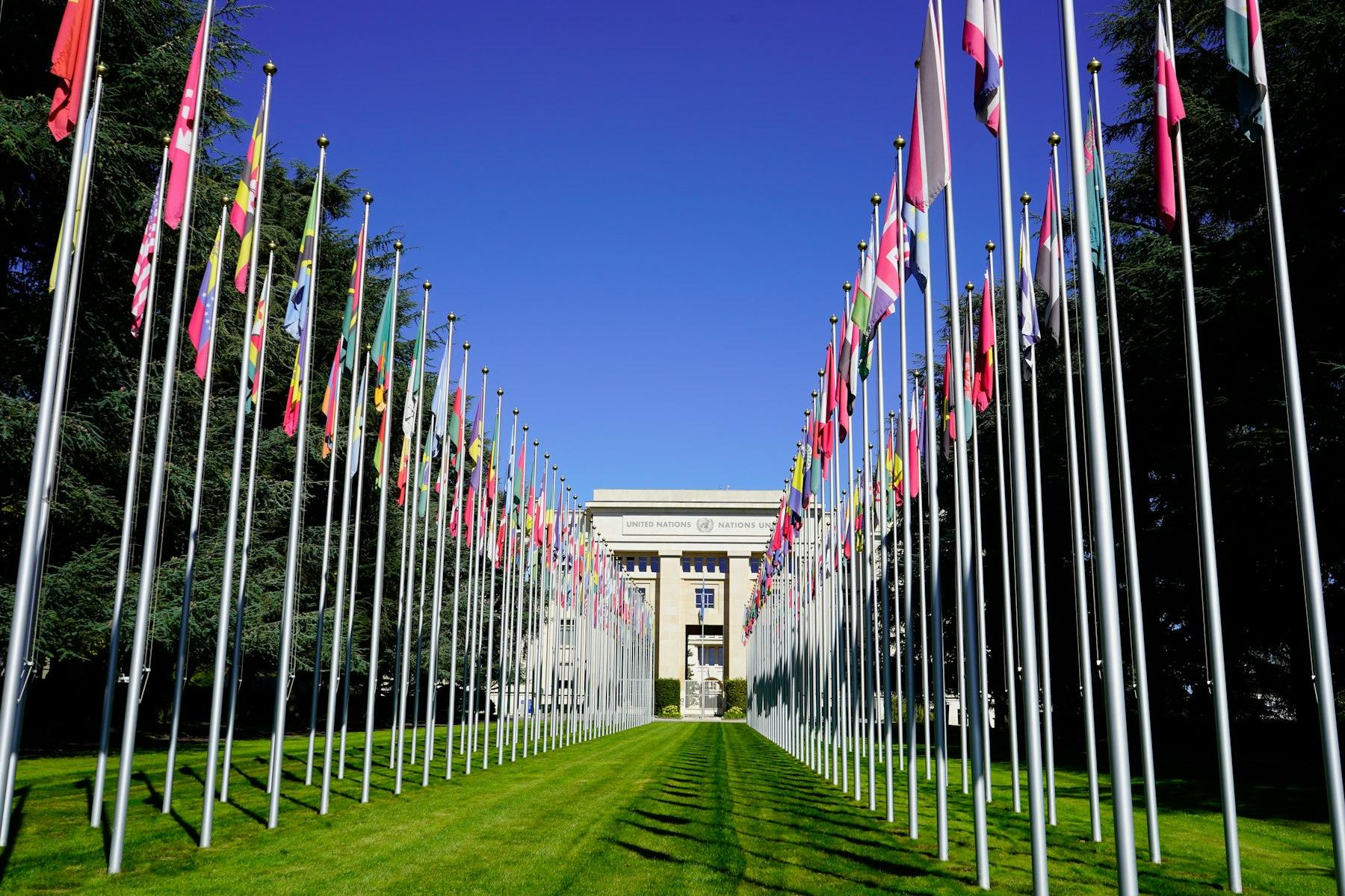An avenue of national flags leading to an international institution